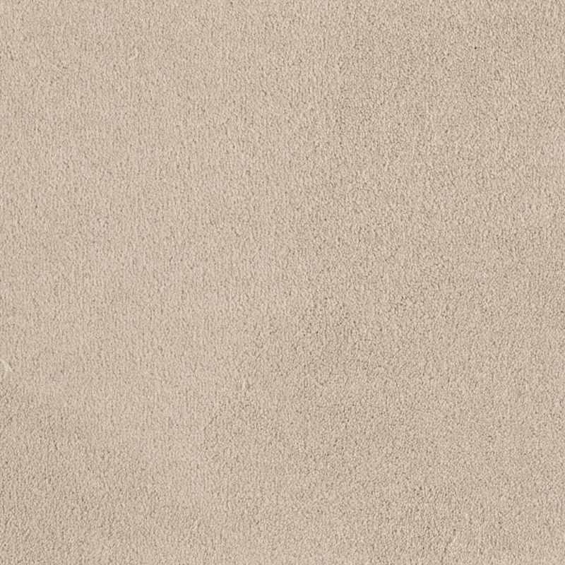 Sandy Hollow Classic III Carpet by Shaw 101 Mushroom | Residential Carpet